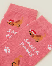 Santa Paws Socks, , large