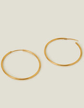 14ct Gold-Plated Stainless Steel Tube Hoops, , large