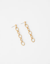 Circle Link Chain Drop Earrings | Drops | Accessorize UK