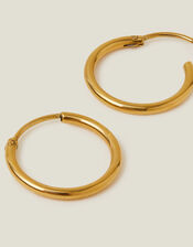 Stainless Steel Medium Hoops, , large